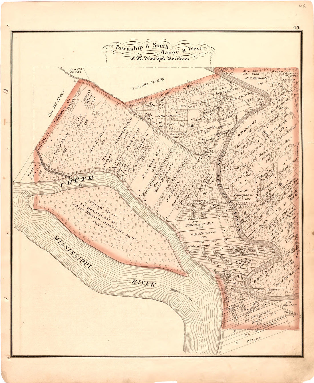 Township 6 South Range 8 West of 3rd Principal Meridian from an Illustrated Historical Atlas Map of Randolph County, Ills. : Carefully Compiled from Personal Examinations and Surveys 1875 by Relic Map Company