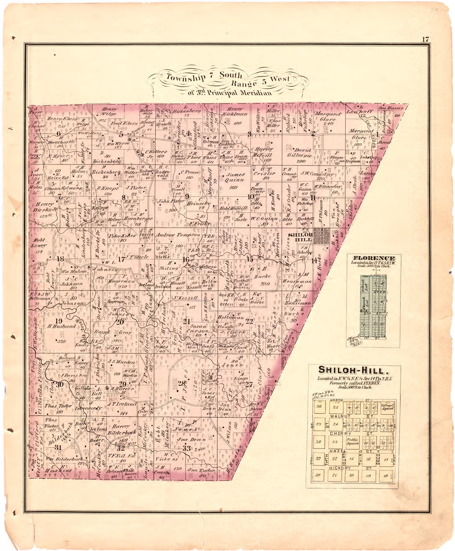 Township 7 South Range 5 West of 3rd Principal Meridian from an Illustrated Historical Atlas Map of Randolph County, Ills. : Carefully Compiled from Personal Examinations and Surveys 1875 by Relic Map Company