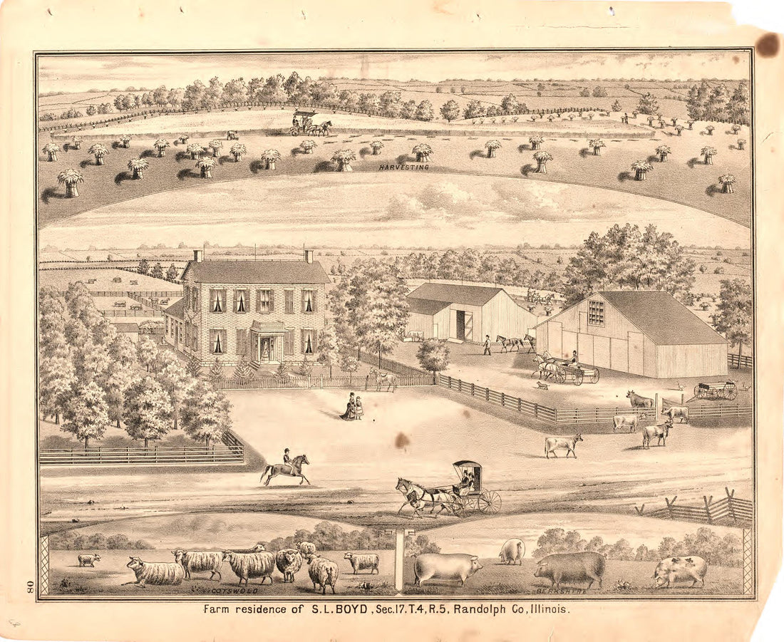 Farm Residence of S.L. Boyd from an Illustrated Historical Atlas Map of Randolph County, Ills. : Carefully Compiled from Personal Examinations and Surveys 1875 by Relic Map Company
