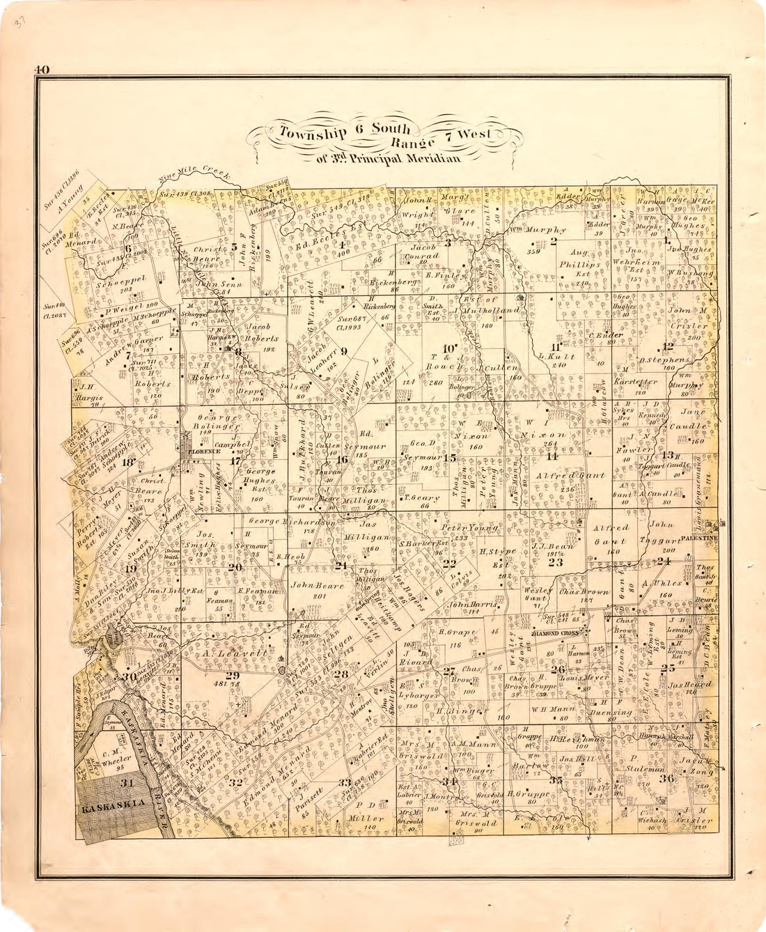 Township 6 South Range 7 West of 3rd Principal Meridian from an Illustrated Historical Atlas Map of Randolph County, Ills. : Carefully Compiled from Personal Examinations and Surveys 1875 by Relic Map Company
