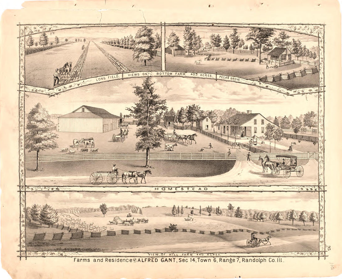 Farm and Residence of Alfred Gant from an Illustrated Historical Atlas Map of Randolph County, Ills. : Carefully Compiled from Personal Examinations and Surveys 1875 by Relic Map Company
