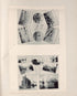 Views of Bridges and Piers On the Chicago River and Stock Yards from Atlas of the War of the Rebellion Giving Union and Confederate Armies by Actual Surveys by the Union and Confederate Engineers, and Approved by the Officers In Command, of All the Ma... by Relic Map Company