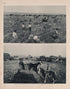 Views of Blanchard and Roseville from Illustrated Historical Atlas of Traill and Steele Counties, North Dakota 1892 by Relic Map Company