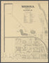 Image 48 of Atlas of Niagara and Orleans Counties, New York from Atlas of Niagara and Orleans Counties, New York : from Actual Surveys and Official Records 1875 by Relic Map Company