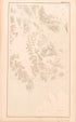 Sheet 15 from Alaskan Boundary Atlas 1895 : Maps of British Commission : to Accompany Joint Report Dated Dec. 31st, 1895 by Relic Map Company