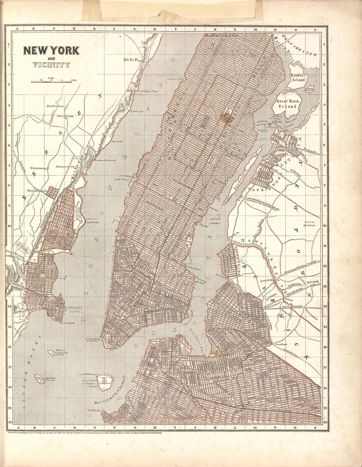 New York &amp; Vicinity from Morse&