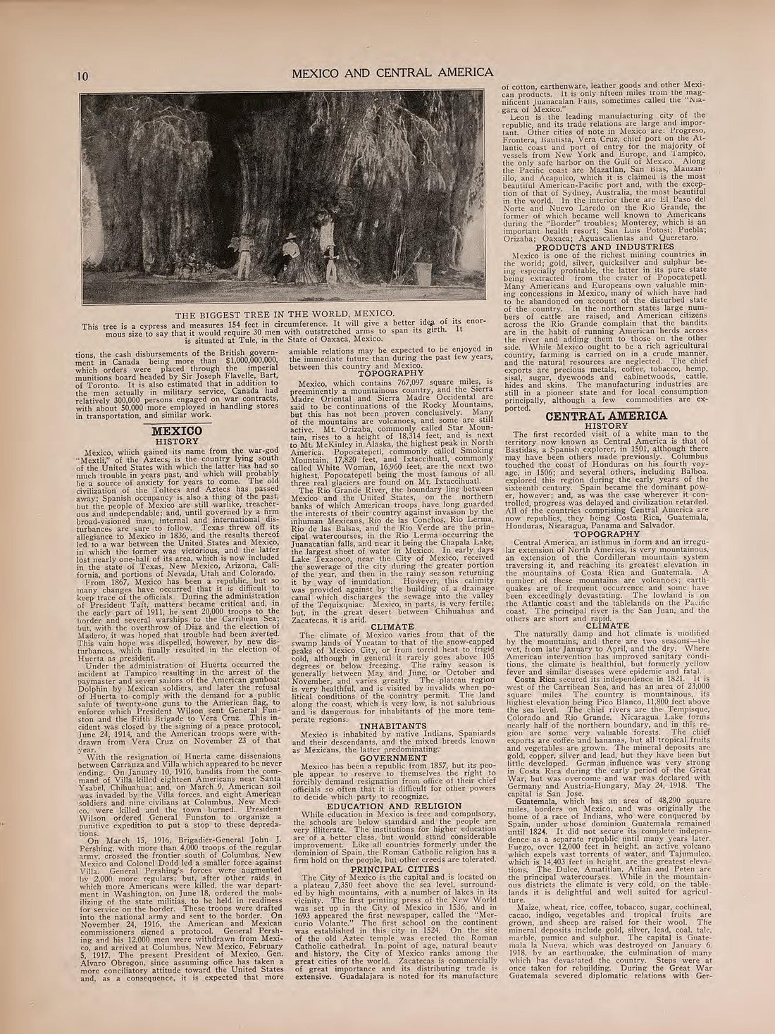 View of the Biggest Tree In the World and Text from Atlas of Doniphan County, Kansas : Containing Maps of Townships of the County, Maps of State, United States and World : Farmers Directory, Analysis of the System of U.S. Land Surveys 1927 by Relic Map Company