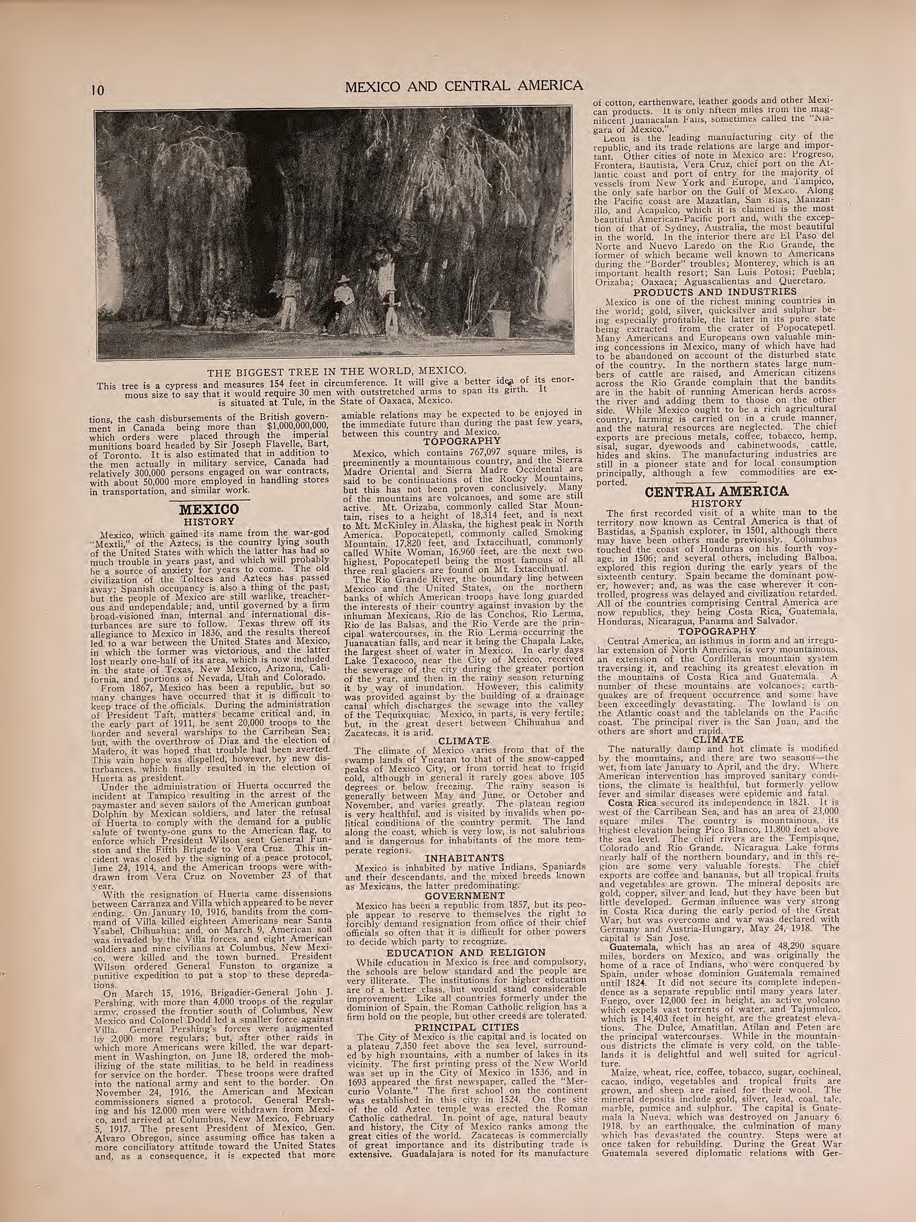 View of the Biggest Tree In the World and Text from Atlas of Doniphan County, Kansas : Containing Maps of Townships of the County, Maps of State, United States and World : Farmers Directory, Analysis of the System of U.S. Land Surveys 1927 by Relic Map Company