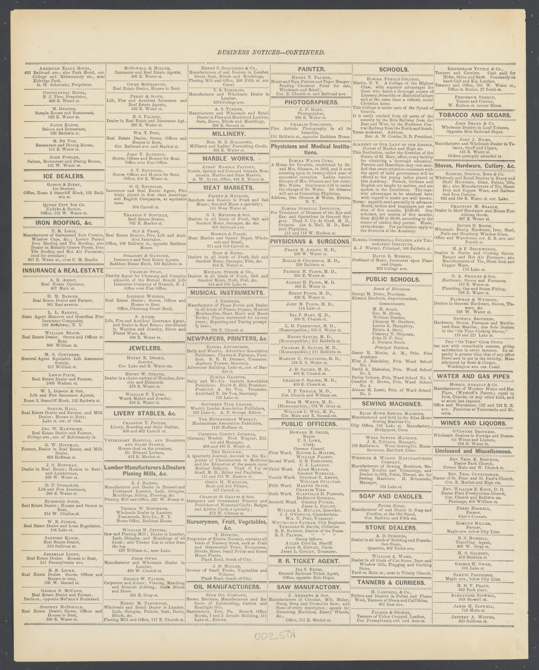 Image 30 of City Atlas of Elmira, New York (maps Only) from City Atlas of Elmira, New York : from Official Records, Private Plans and Actual Surveys, Based Upon Plans Deposited In the Department of Surveys 1876 by Relic Map Company