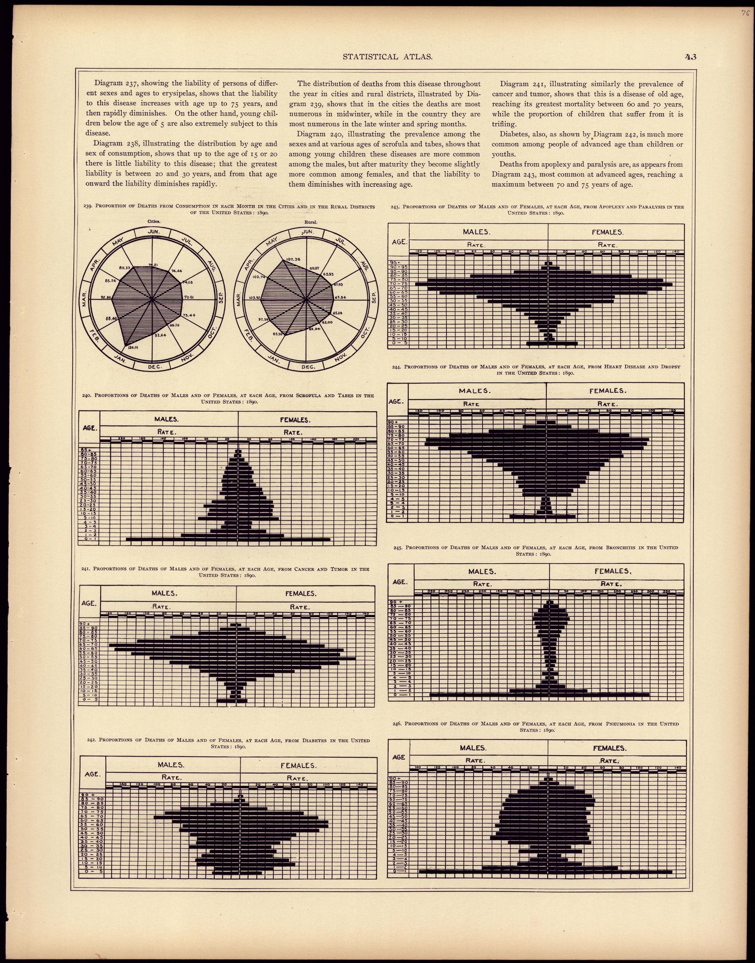 Mortality (continued) from Statistical Atlas of the United States, Based Upon the Results of the Eleventh Census 1898 by Relic Map Company