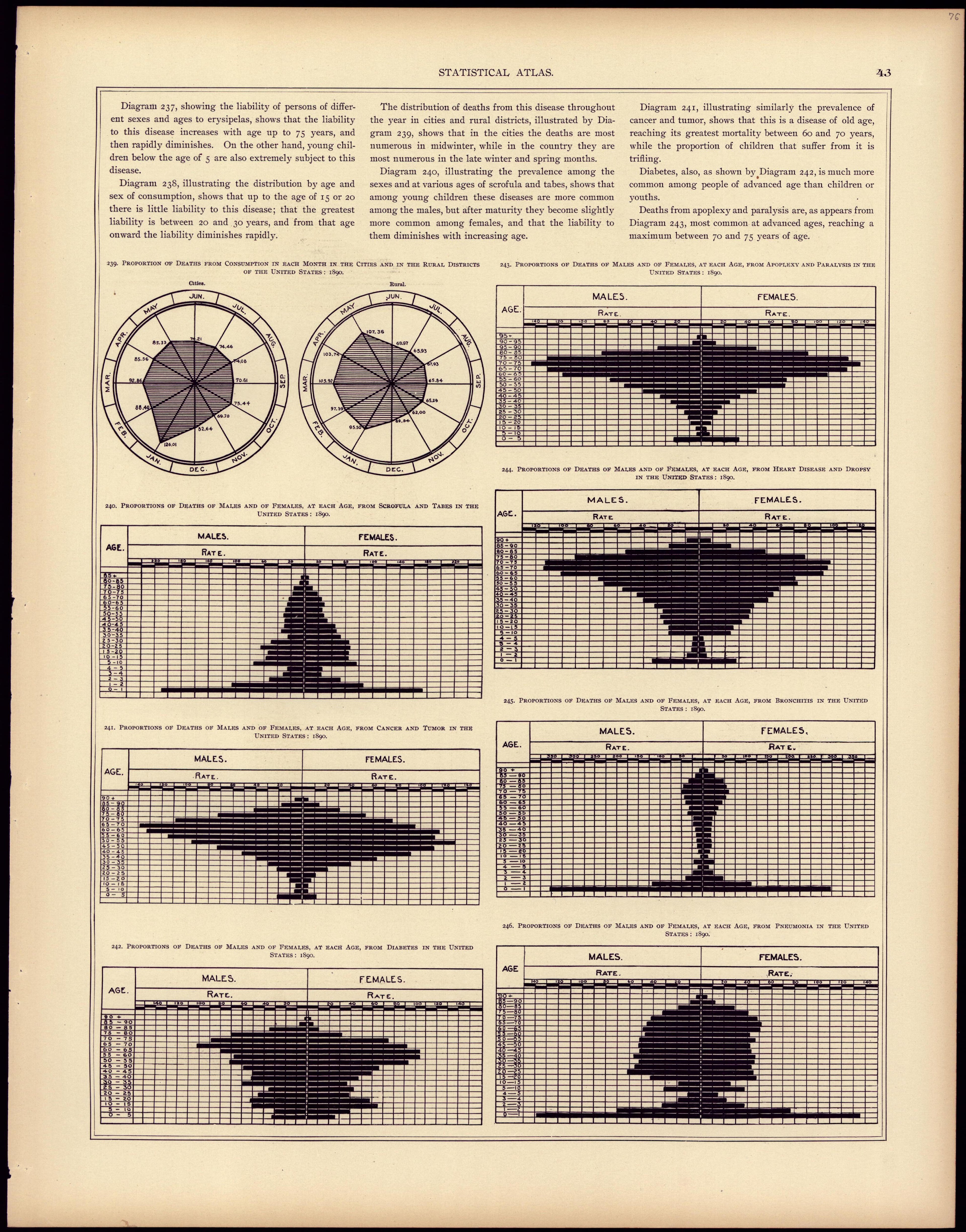 Mortality (continued) from Statistical Atlas of the United States, Based Upon the Results of the Eleventh Census 1898 by Relic Map Company
