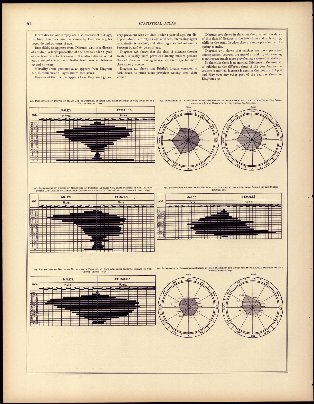 Mortality (continued) from Statistical Atlas of the United States, Based Upon the Results of the Eleventh Census 1898 by Relic Map Company