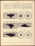 Mortality (continued) from Statistical Atlas of the United States, Based Upon the Results of the Eleventh Census 1898 by Relic Map Company