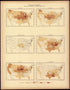 Interstate Migration : 1890 (IN, Indian Territory, IA, KS, KT, LA) from Statistical Atlas of the United States, Based Upon the Results of the Eleventh Census 1898 by Relic Map Company