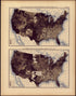 True Valuation of Real Estate and Improvements Threreon Per Capita: 1890 from Statistical Atlas of the United States, Based Upon the Results of the Eleventh Census 1898 by Relic Map Company