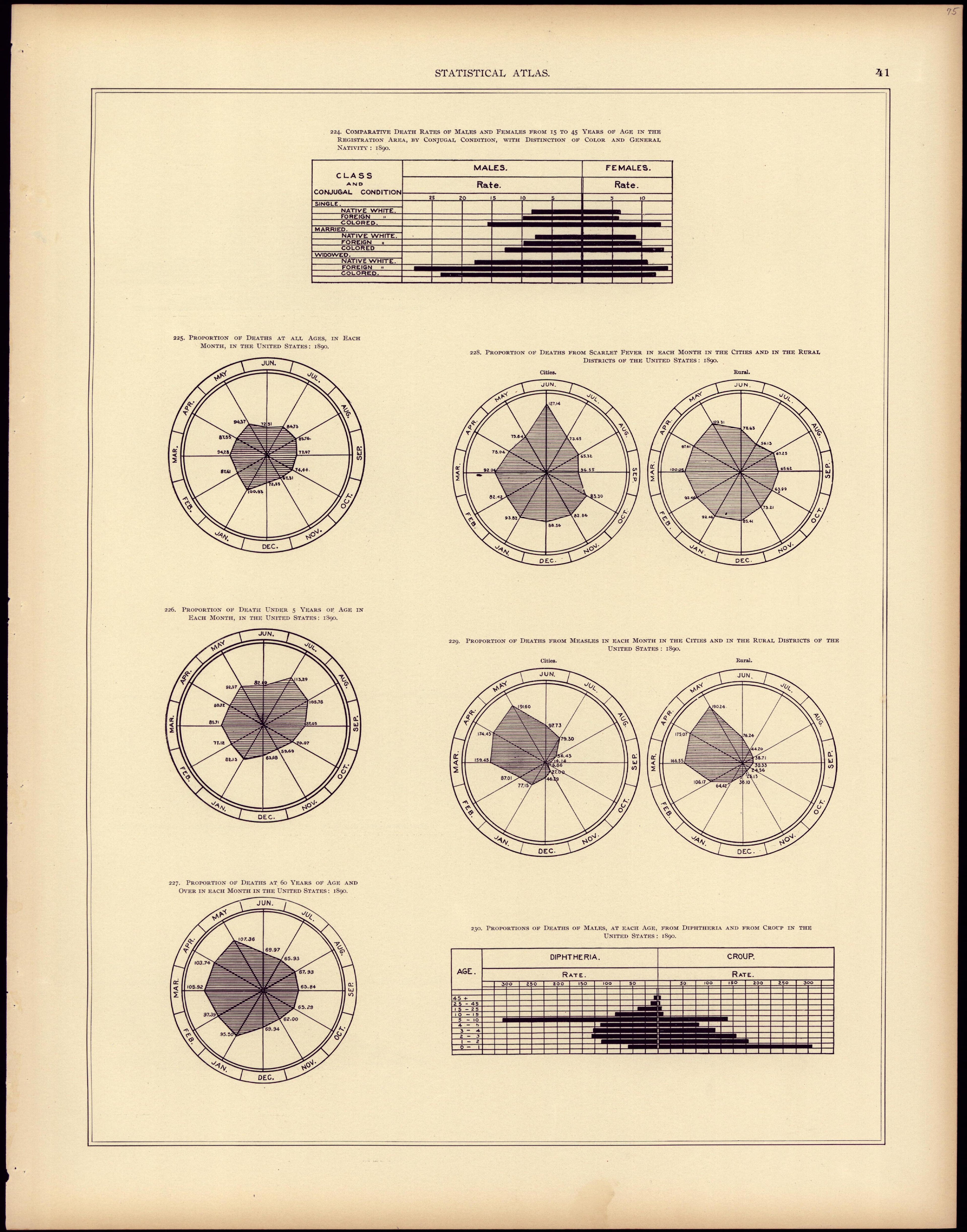 Mortality (continued) from Statistical Atlas of the United States, Based Upon the Results of the Eleventh Census 1898 by Relic Map Company