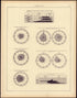Mortality (continued) from Statistical Atlas of the United States, Based Upon the Results of the Eleventh Census 1898 by Relic Map Company