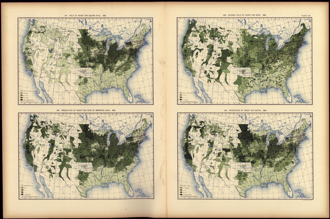 Yield of Wheat Pr Square Mile: 1890 from Statistical Atlas of the United States, Based Upon the Results of the Eleventh Census 1898 by Relic Map Company