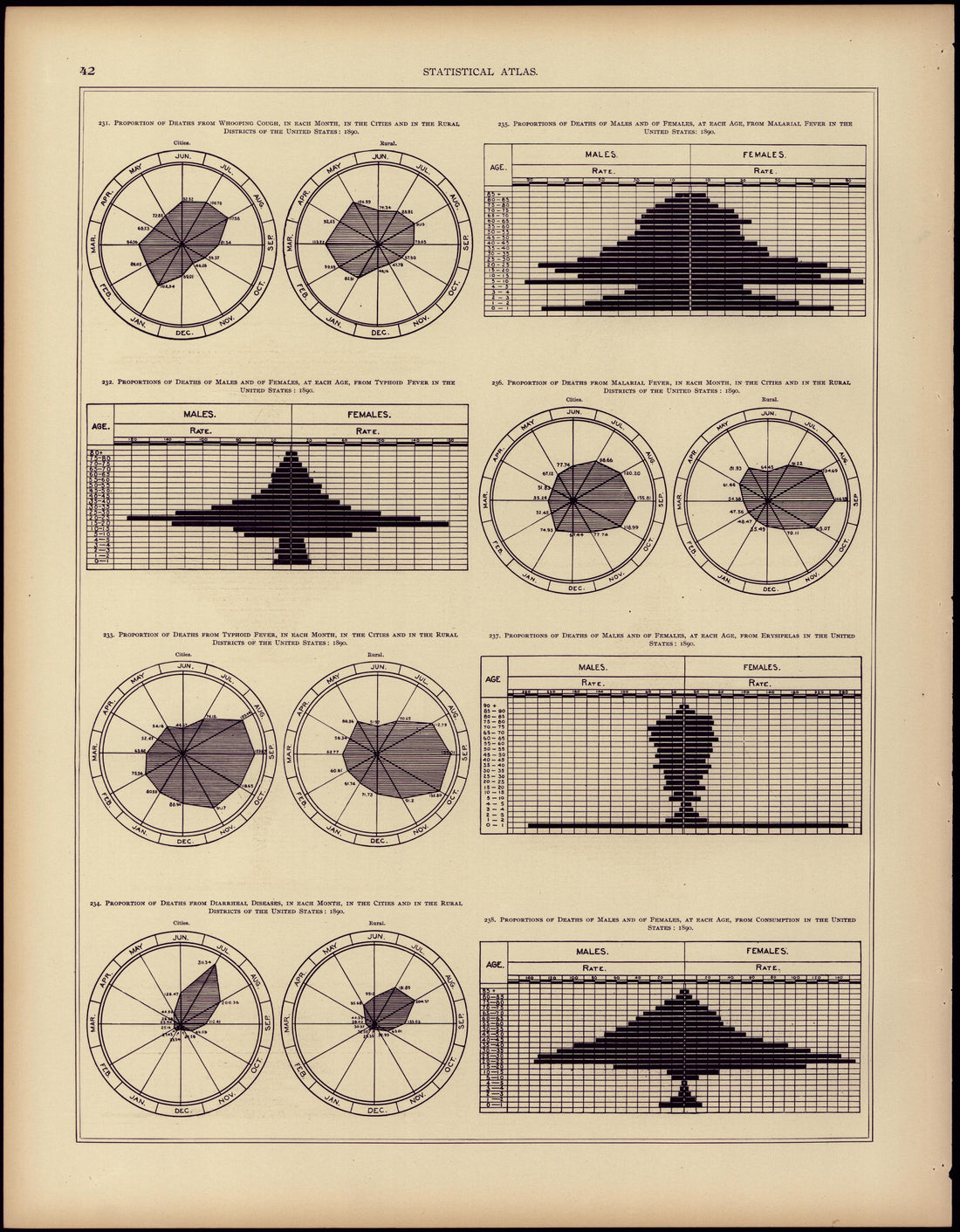 Mortality (continued) from Statistical Atlas of the United States, Based Upon the Results of the Eleventh Census 1898 by Relic Map Company