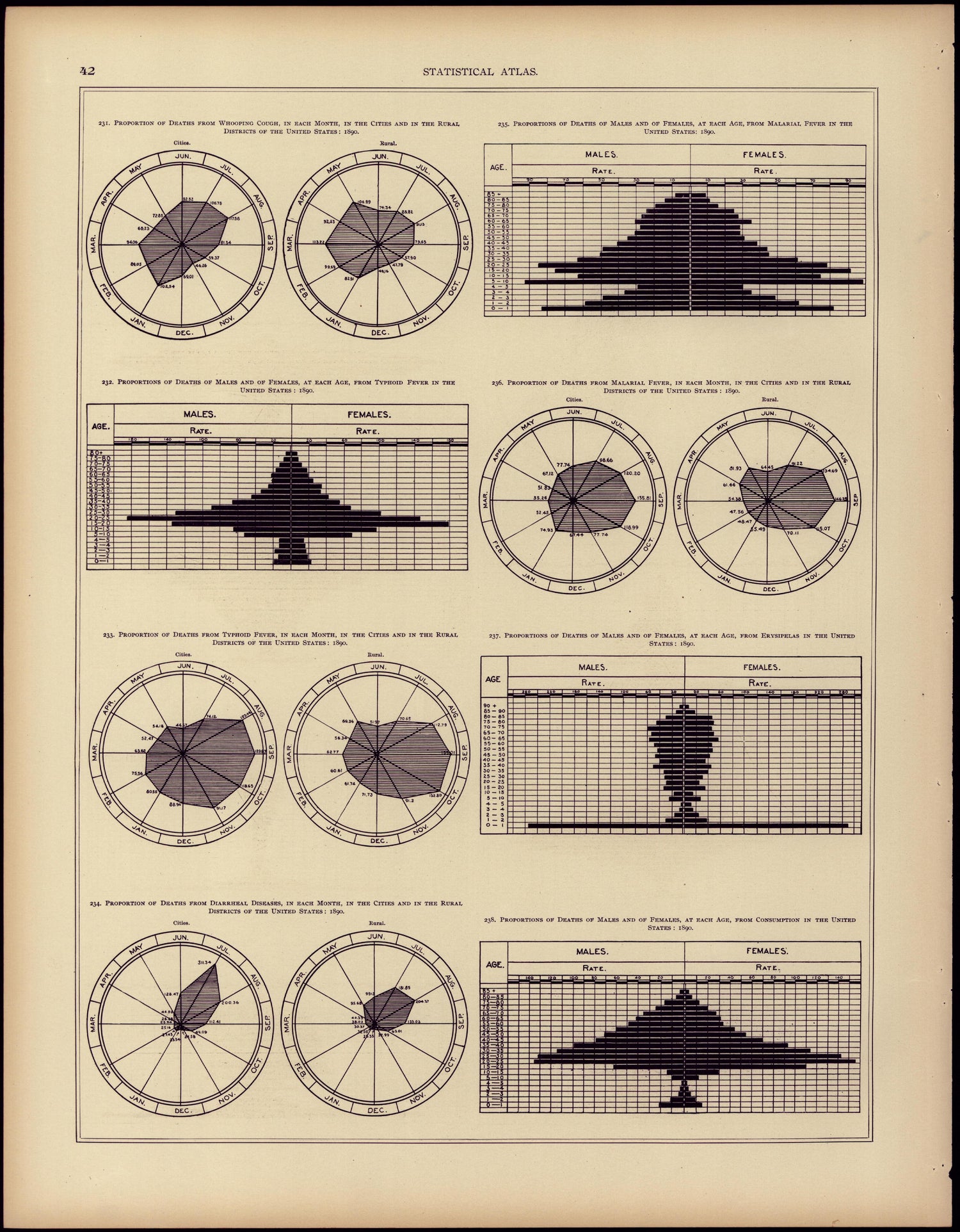 Mortality (continued) from Statistical Atlas of the United States, Based Upon the Results of the Eleventh Census 1898 by Relic Map Company