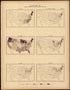 Manufactures: 1890, Value of Product In Dollars Per Head of Population from Statistical Atlas of the United States, Based Upon the Results of the Eleventh Census 1898 by Relic Map Company