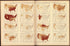 Distribution of the Membership of the Principal Religious Denominations Expressed by the Proportion Which Their Membership Bears to All Communicants: 1890 from Statistical Atlas of the United States, Based Upon the Results of the Eleventh Census 1898 by Relic Map Company