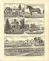 Illustrations - Residences from Illustrated Atlas of Lake County, Illinois : Containing Maps of Every Township In the County, With Village and City Plats : Also Maps of Michigan ... Texas, and Washington Territory : Compiled … 1885 by Relic Map Company