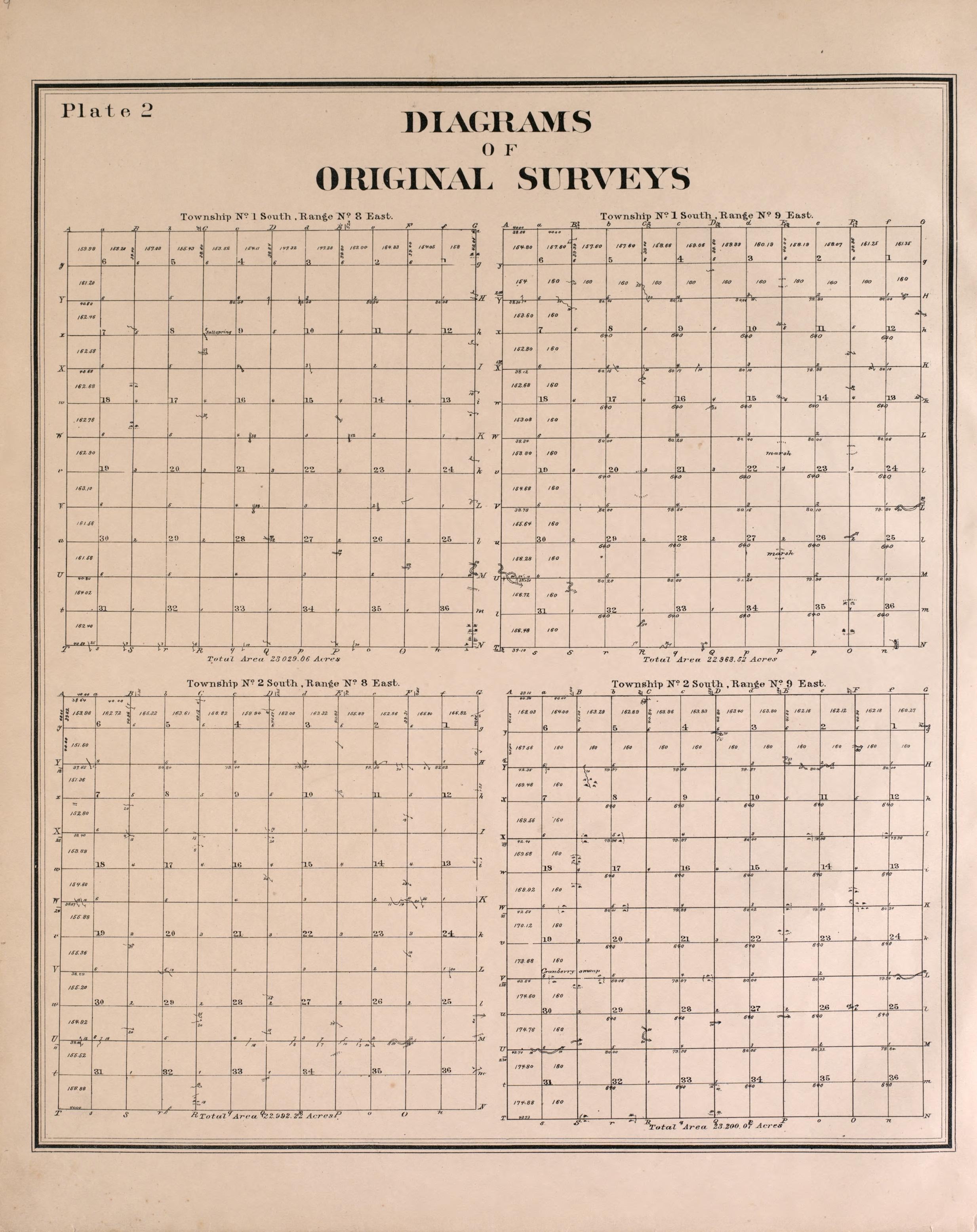 Diagrams of Original Surveys - 1 from Detailed Official Atlas of Wayne County, Michigan : Containing General Maps of Wayne County and City of Detroit, General Township Maps ... : Also Detail Plats of All Recorded Subdivisions and Additions … 1893 by Relic Map Company