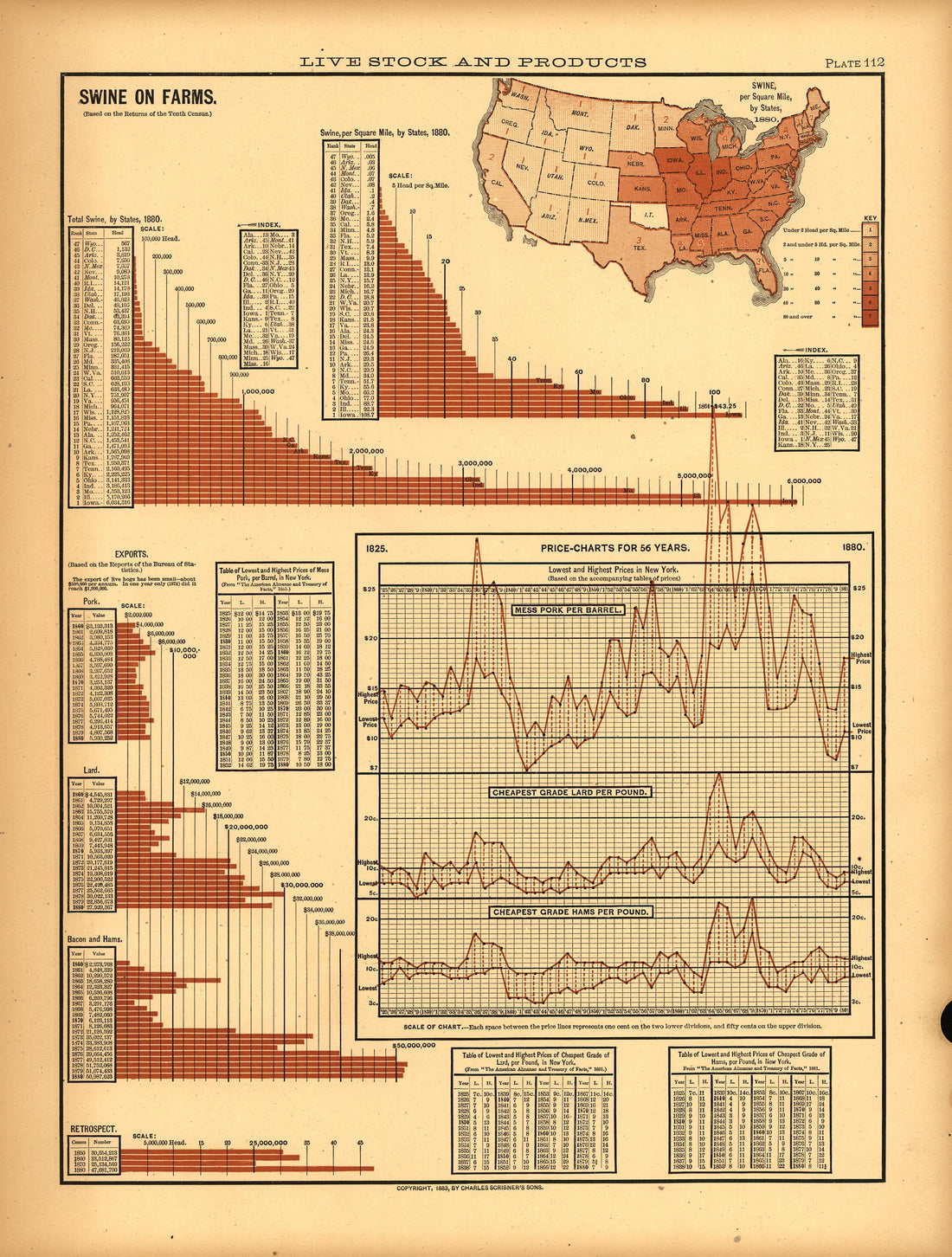 Plate 112: Live Stock and Products (Swine On Farms) from Scribner&