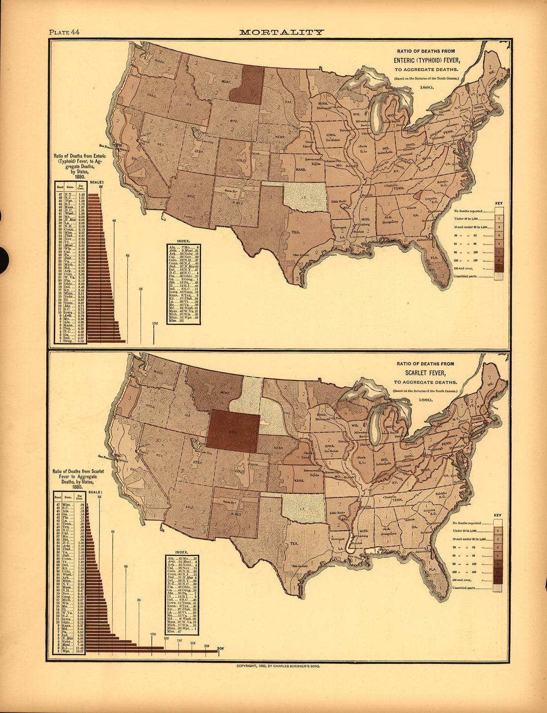 Plate 44: Mortality (Deaths from Typhoid Fever, Scarlet Fever) from Scribner&