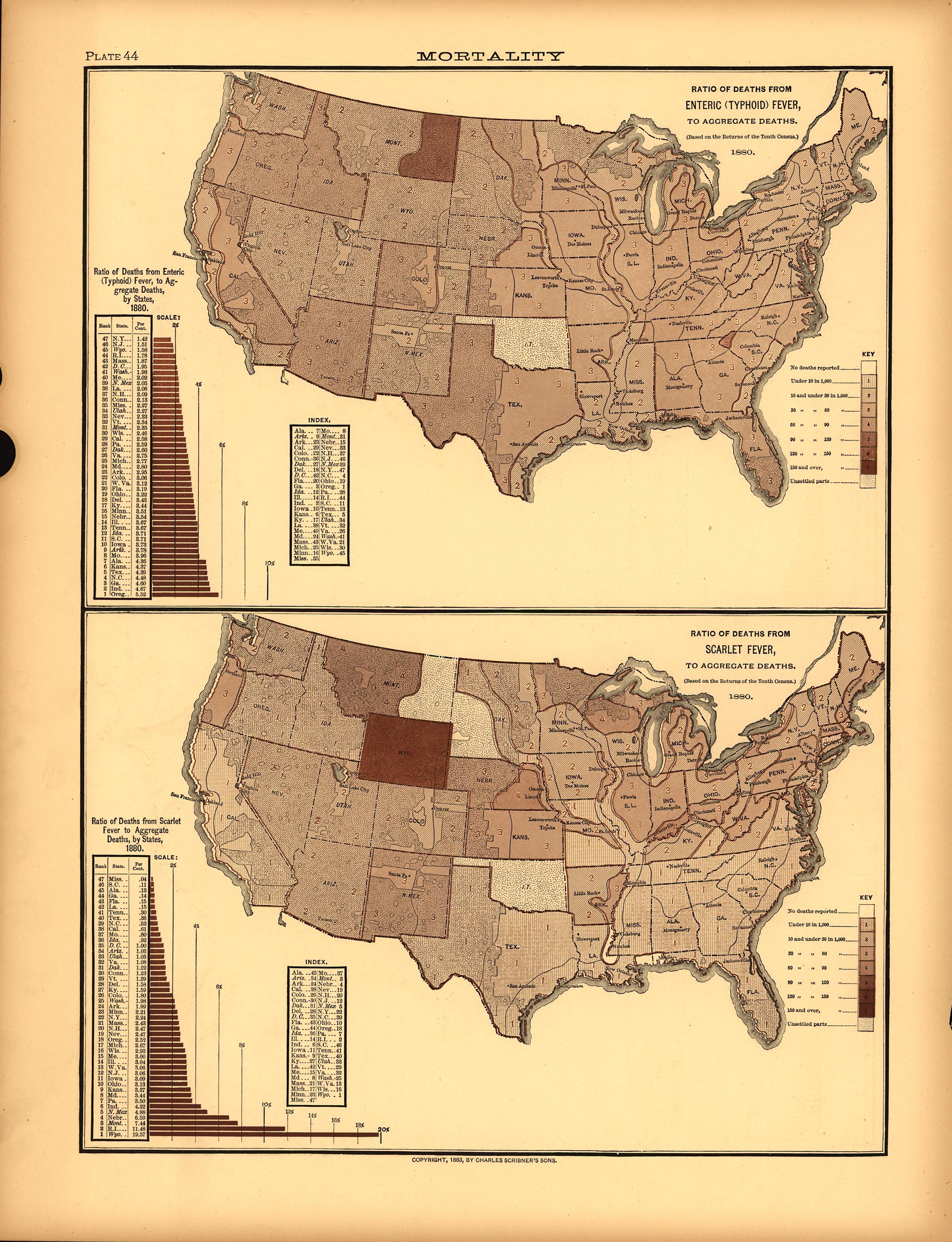 Plate 44: Mortality (Deaths from Typhoid Fever, Scarlet Fever) from Scribner&
