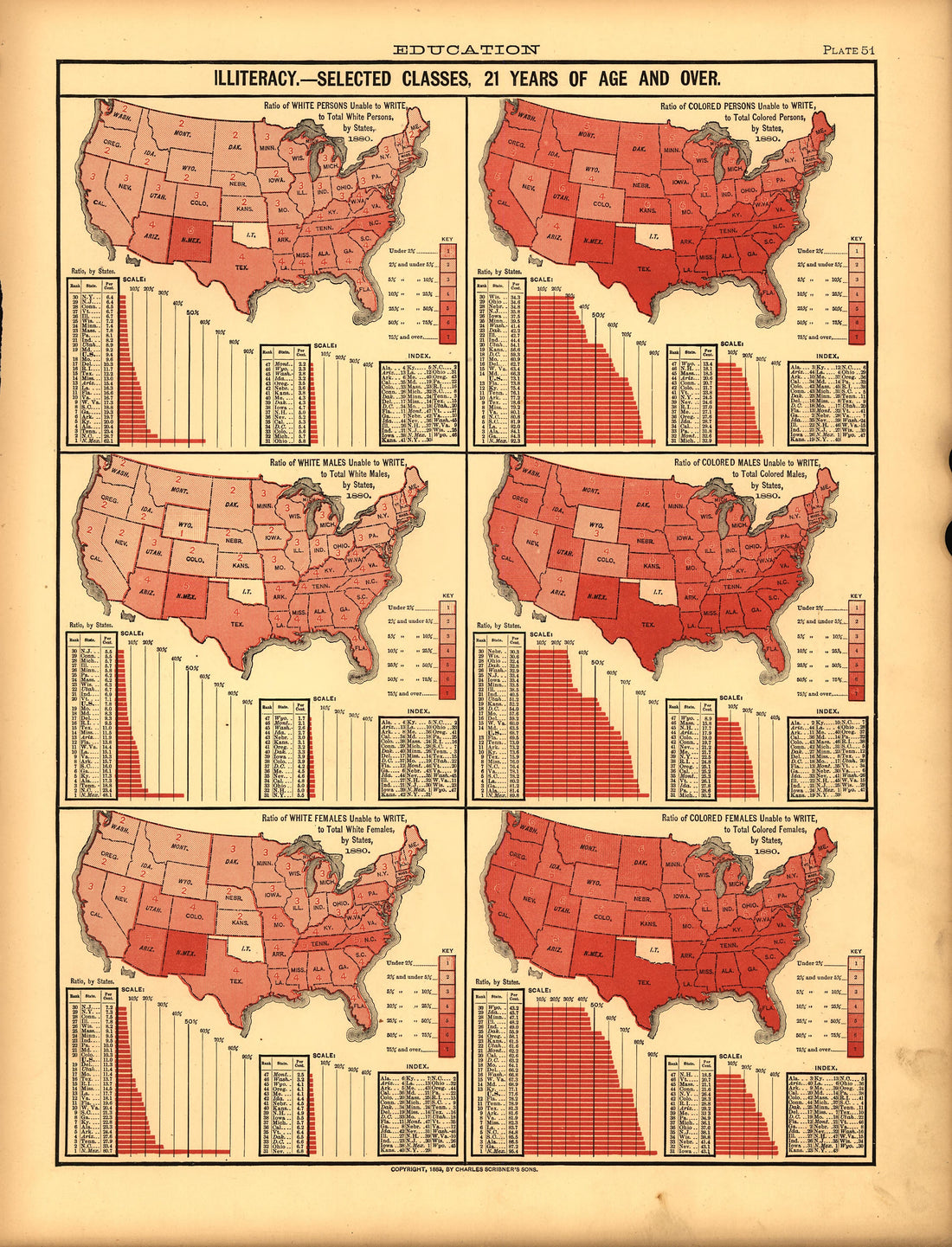 Plate 50: Education (Illiteracy -- 21 Years of Age and Over) from Scribner&