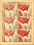 Plate 50: Education (Illiteracy -- 21 Years of Age and Over) from Scribner&