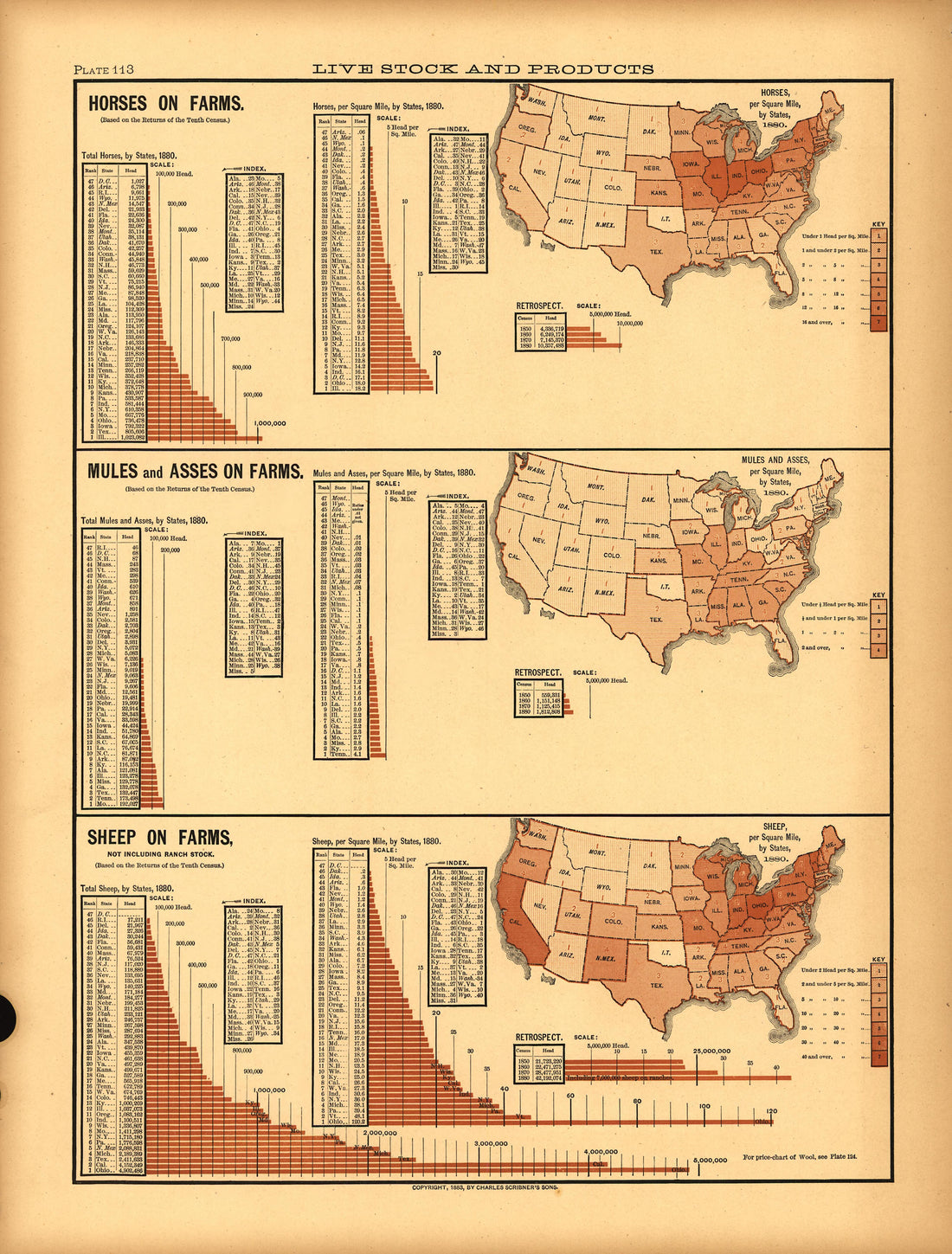 Plate 113: Live Stock and Products (Horses, Mules and Asses, Sheep On Farms) from Scribner&