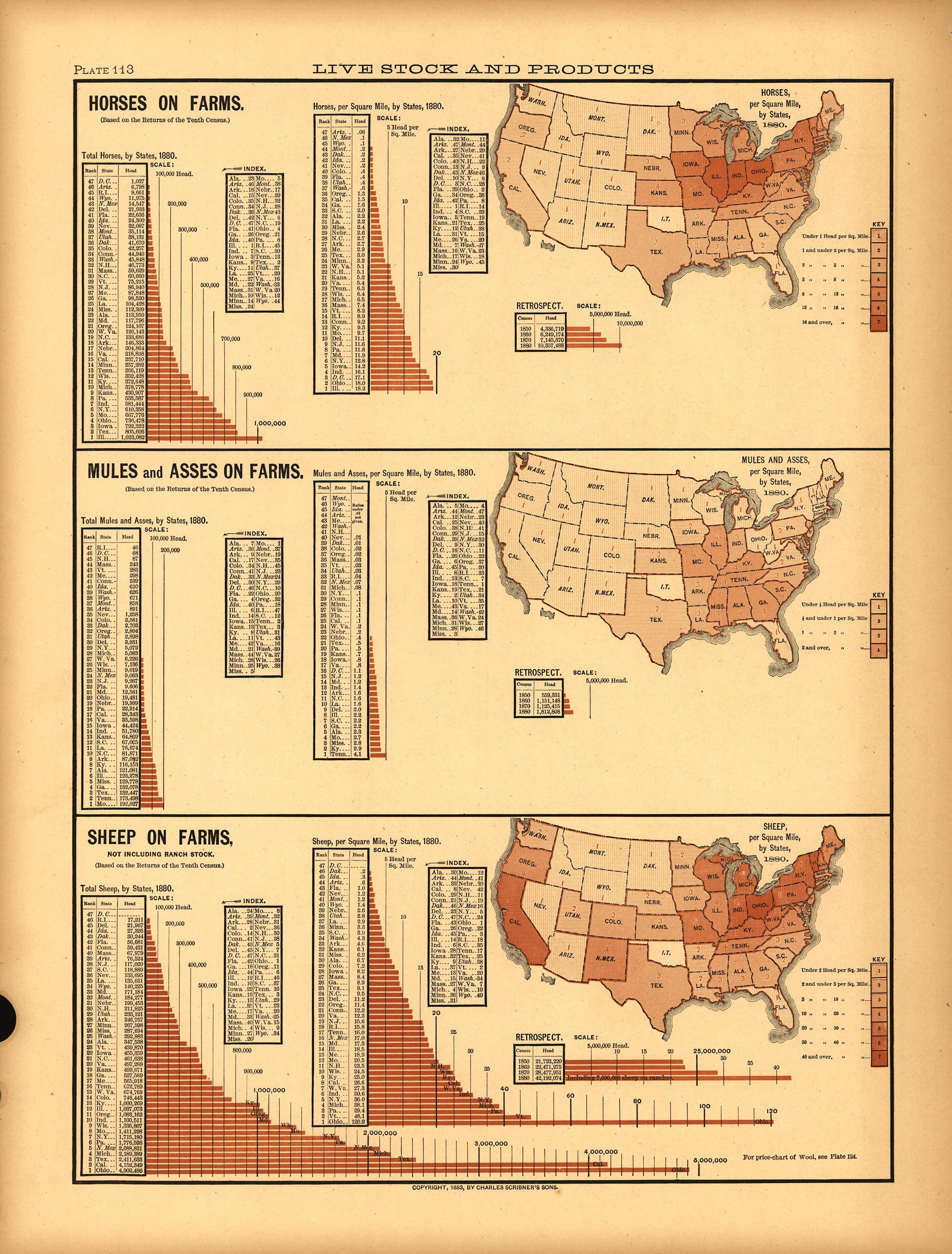 Plate 113: Live Stock and Products (Horses, Mules and Asses, Sheep On Farms) from Scribner&