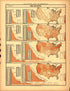 Plate 70: Finance and Commerce (True Valuation) from Scribner&