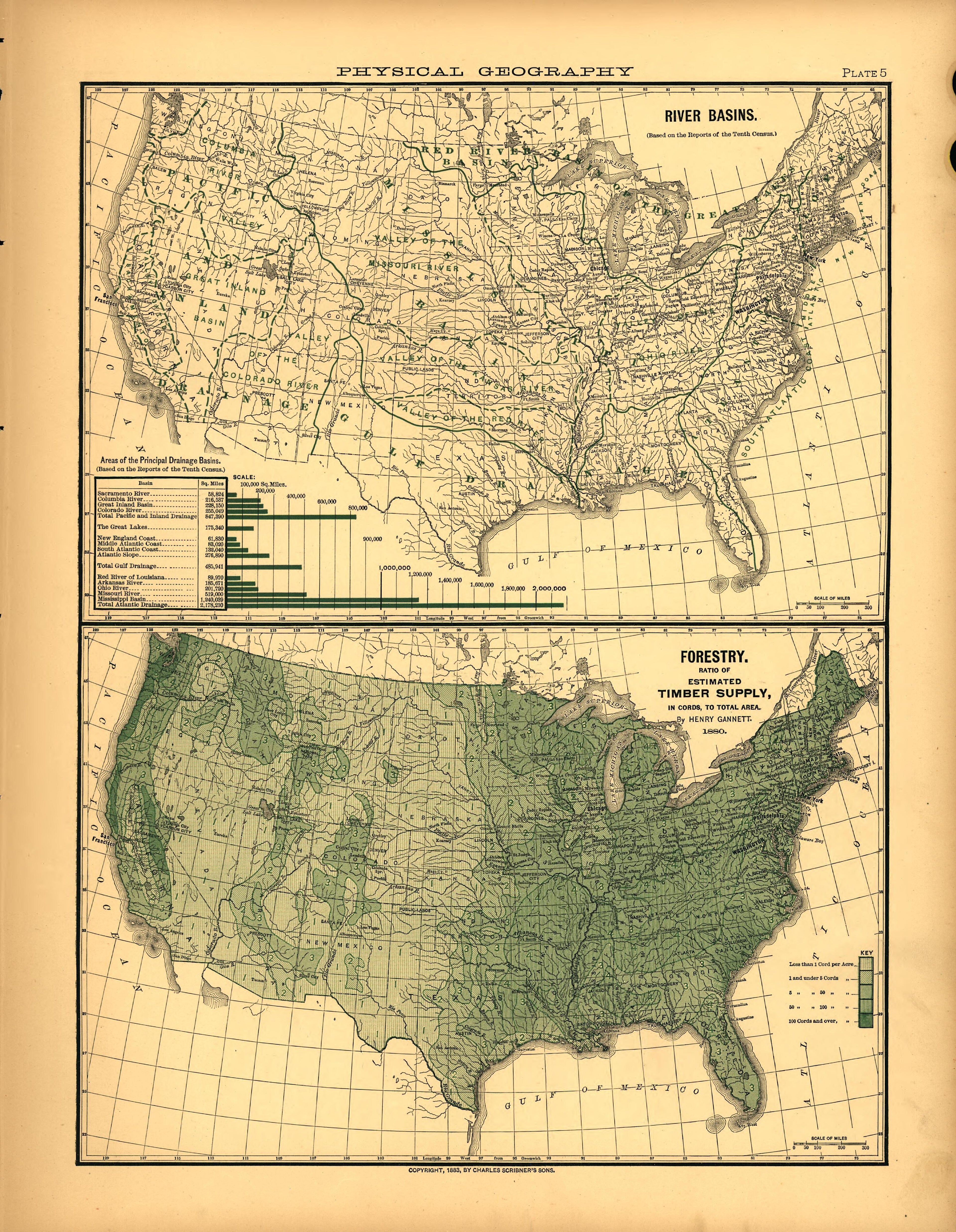 Plate 5: Physical Geography (River Basins, Forestry) from Scribner&