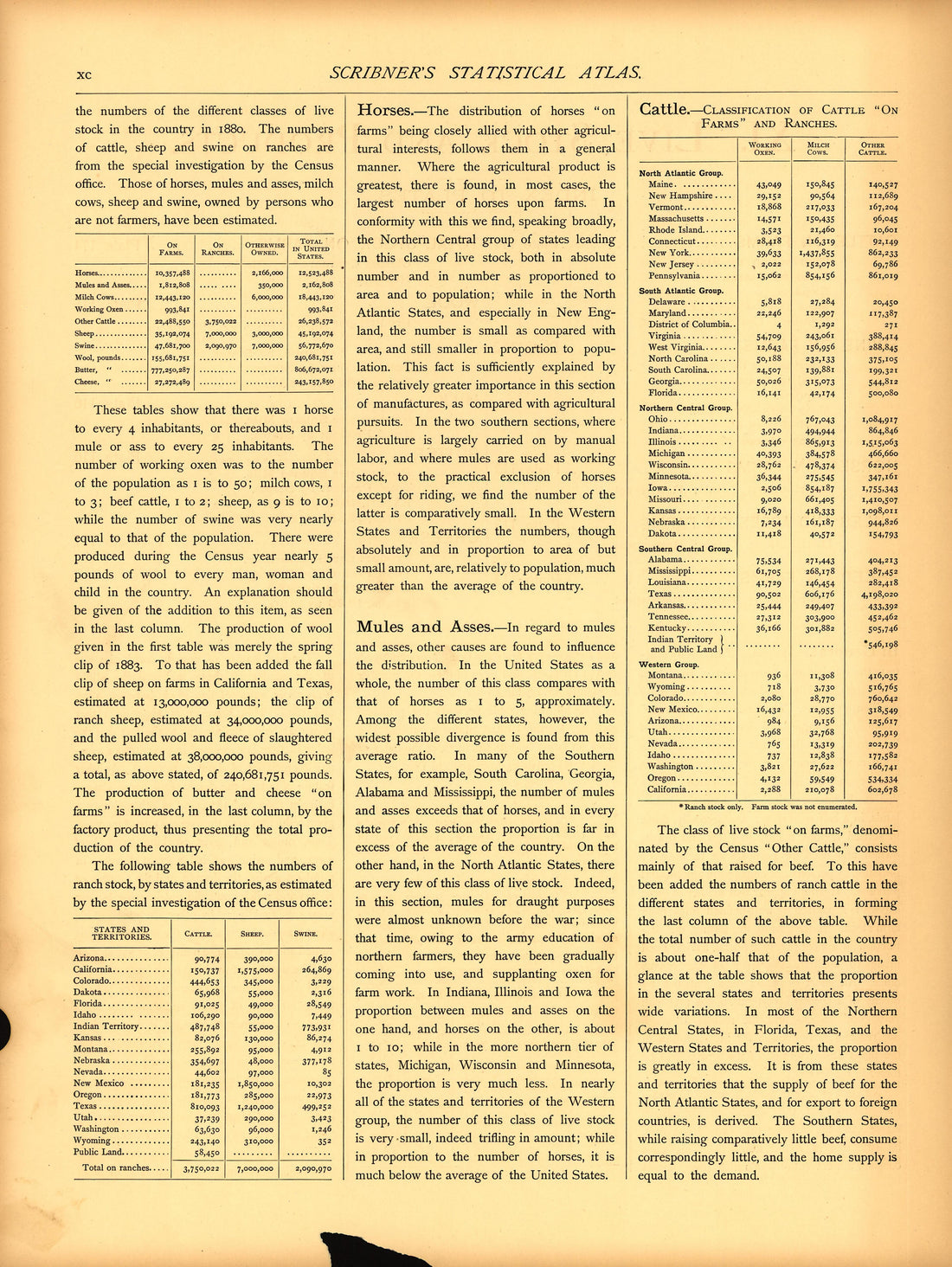 Live Stock and Products (continued) (xc) from Scribner&