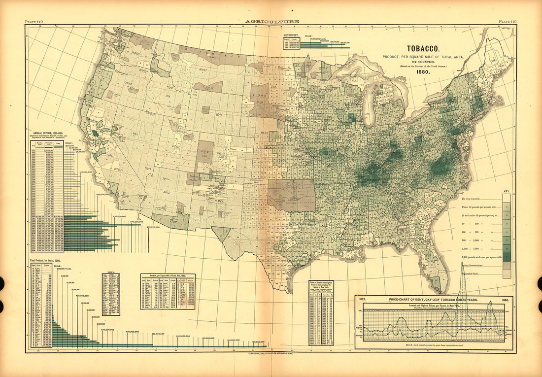 Plate 110: Agriculture (Tobacco) from Scribner&