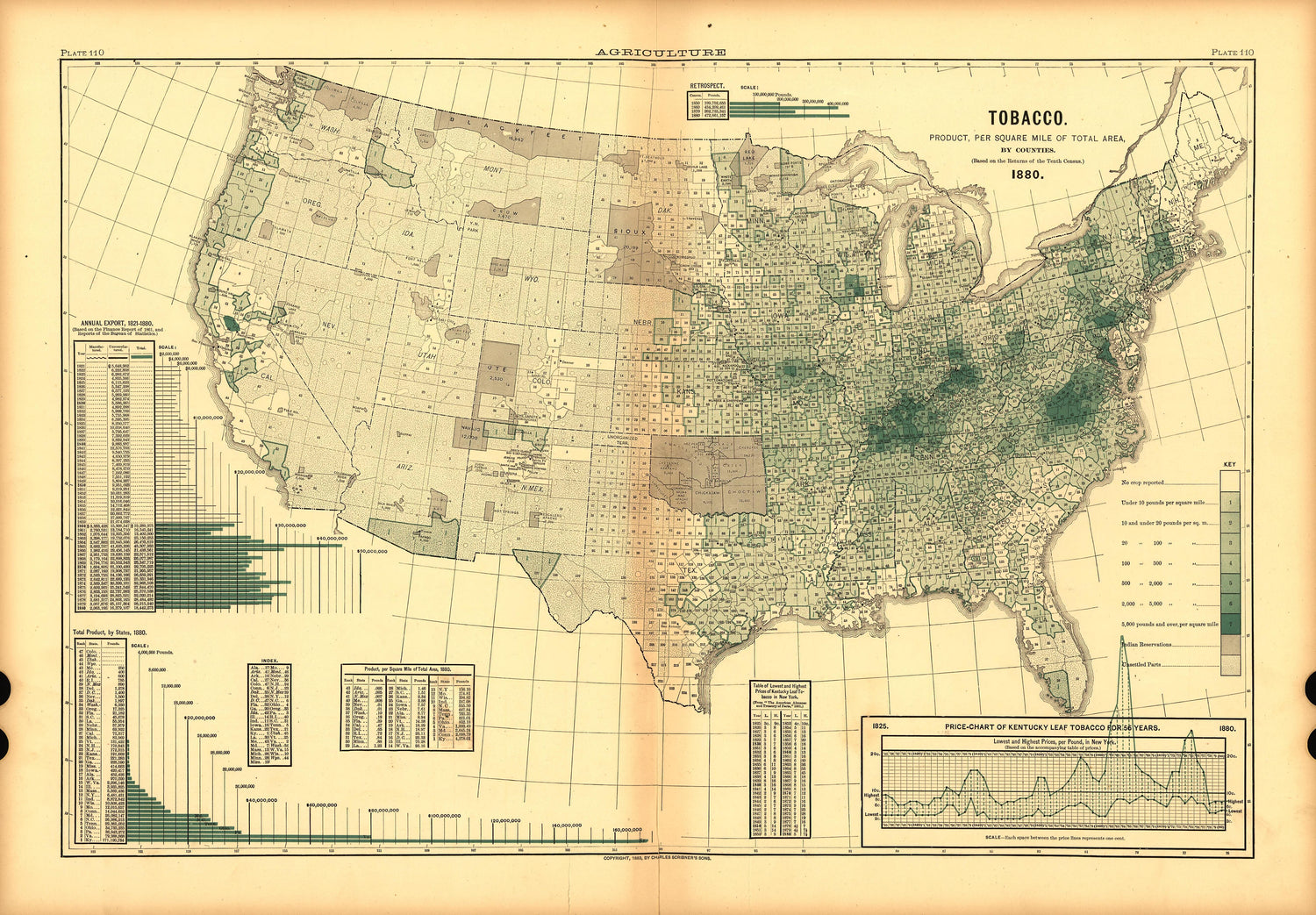 Plate 110: Agriculture (Tobacco) from Scribner&
