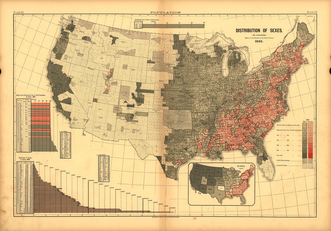 Plate 23: Population (Distribution of Sexes) from Scribner&