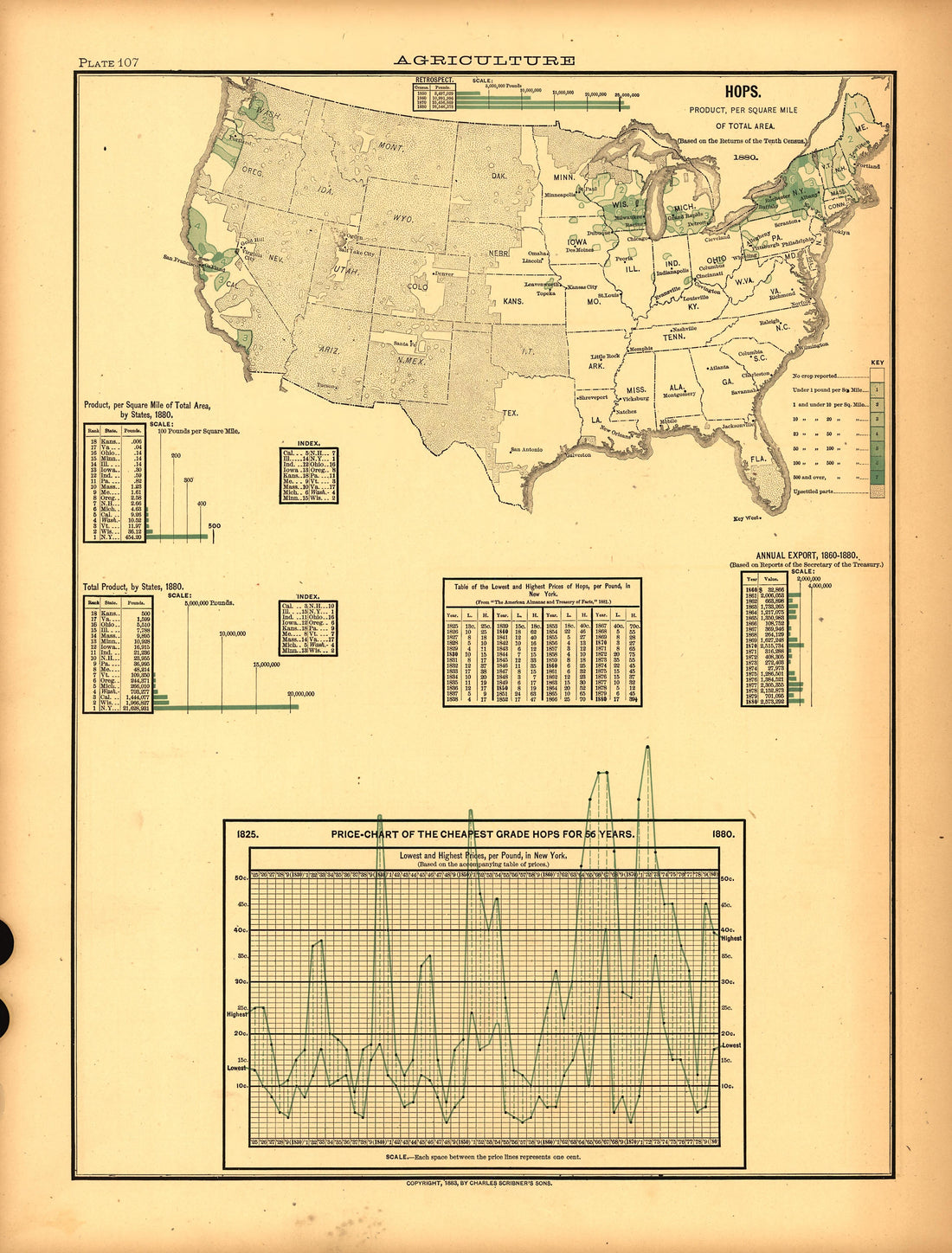 Plate 107: Agriculture (Hops) from Scribner&