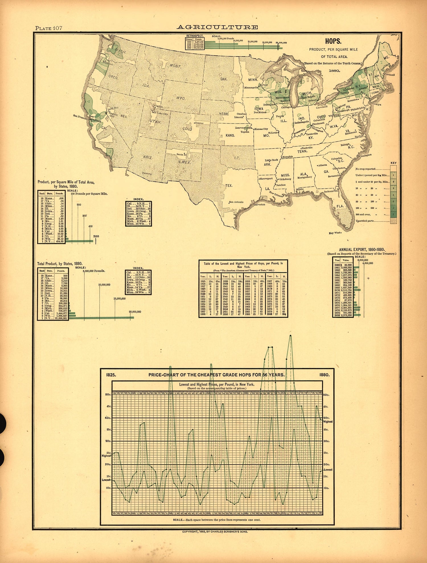 Plate 107: Agriculture (Hops) from Scribner&