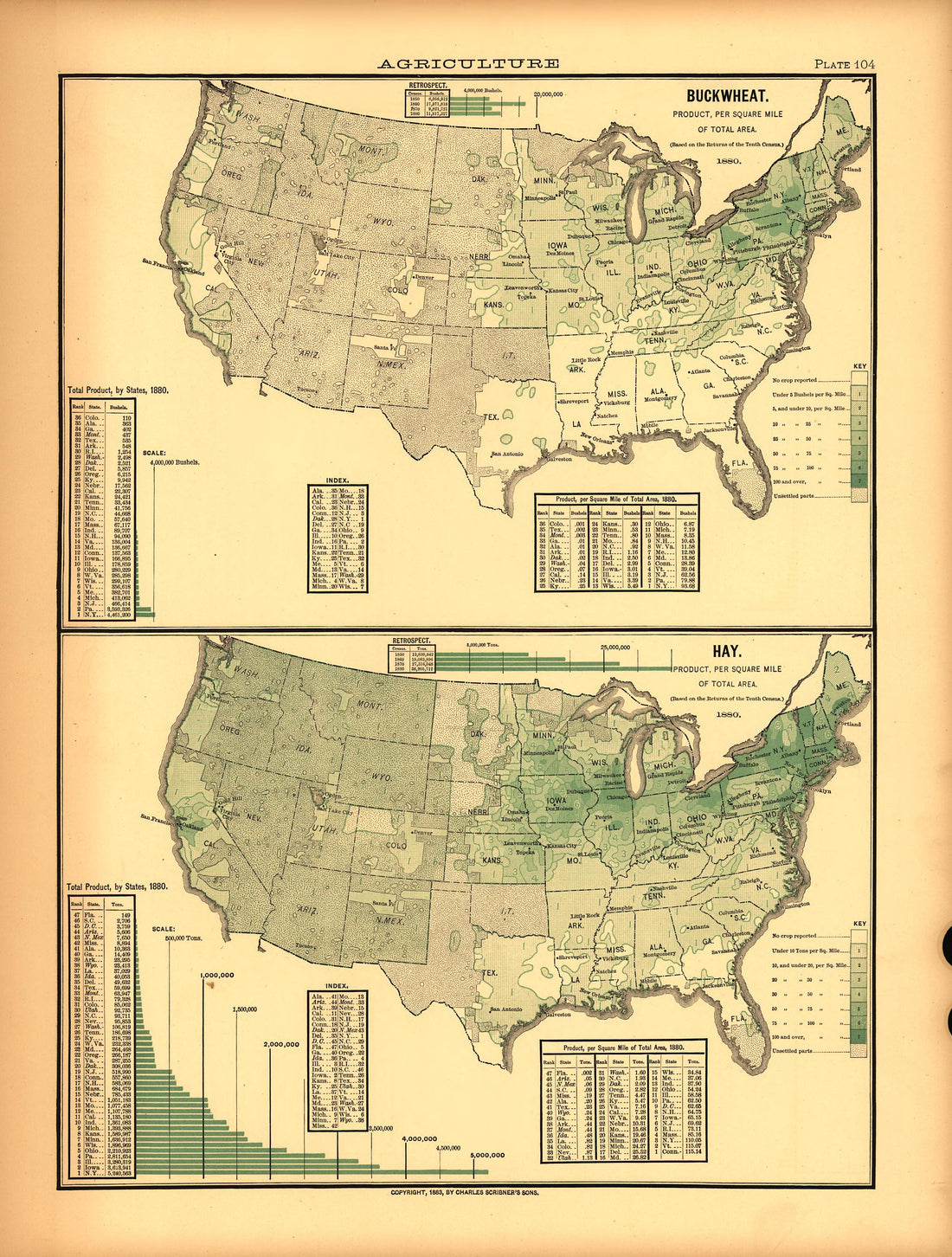 Plate 104: Agriculture (Buckwheat, Hay) from Scribner&