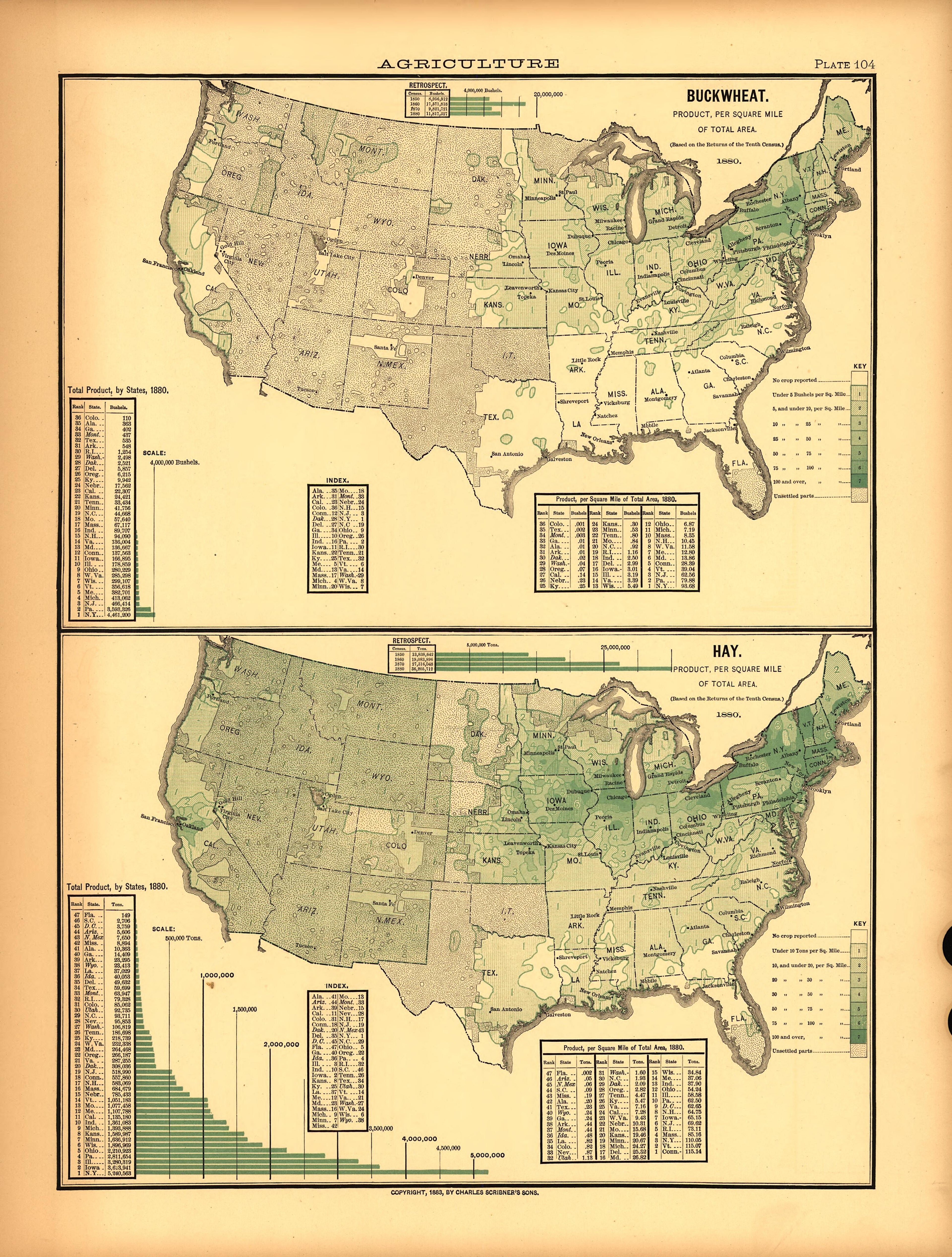 Plate 104: Agriculture (Buckwheat, Hay) from Scribner&