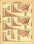 Plate 58: Religion (Denominational Statistics) from Scribner&