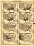 Plate 36: Population (Inter-State Migration) from Scribner&