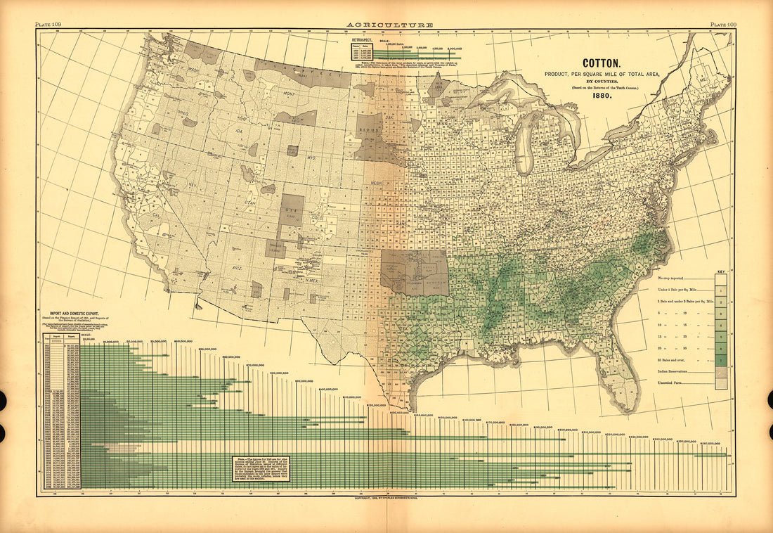 Plate 109: Agriculture (Cotton) from Scribner&