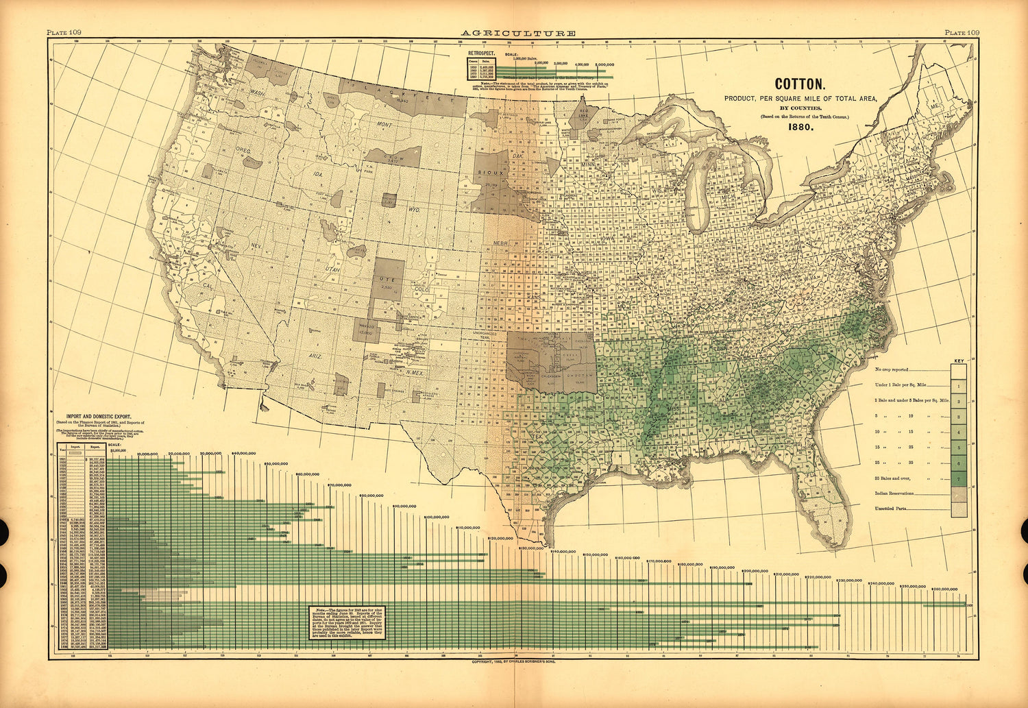 Plate 109: Agriculture (Cotton) from Scribner&