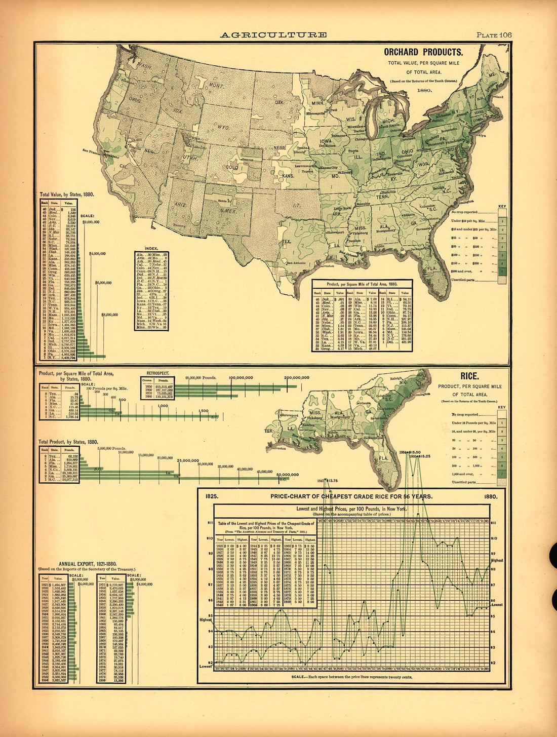 Plate 106: Agriculture (Orchard Products, Rice) from Scribner&